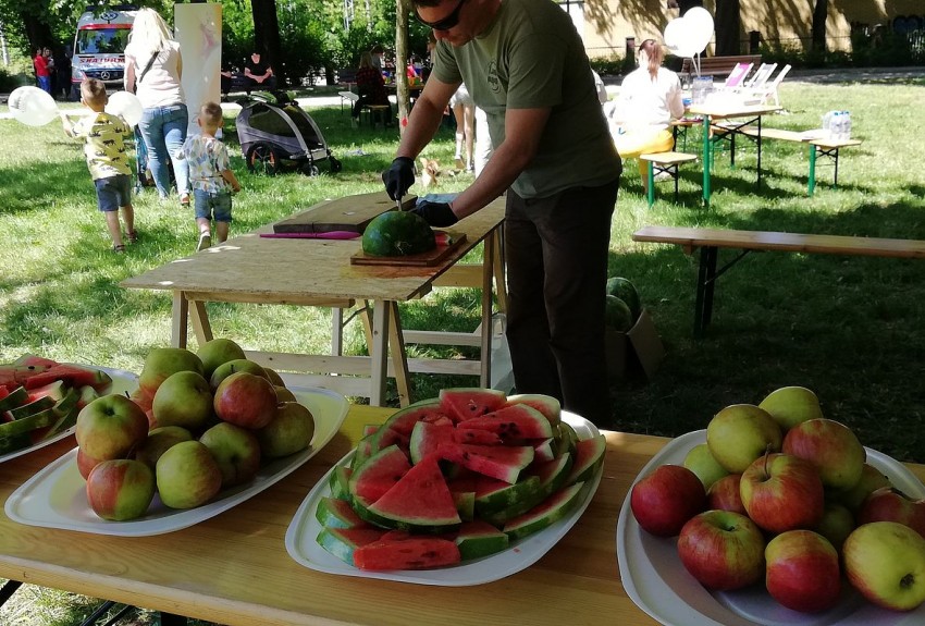 STAROMIEJSKI PIKNIK